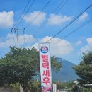 벌떡새우 | 사천 &#39;벌떡 새우&#39; 솔직 후기 : 입맛을 사로잡는 신선함의 끝판왕!
