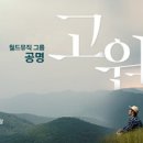 공명 고원 이미지