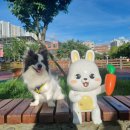 라슈 - 전주시 완산구 모악로 4767 | 라슈