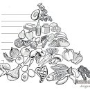 MUSCLE FIT 이미지