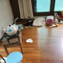 김포,김포시 생활폐기물 생활폐기물처리업체 - 이사 후 이미지