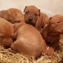 안녕하세요 이미지