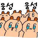 디엔트런스 이미지