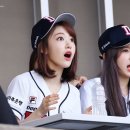 미야와키 사쿠라 카카오 검색결과