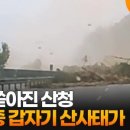 산청(통영) 이미지