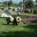 외돌개 나라 이미지