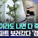 "지진이라도 나면 다 죽겠네"... 새 아파트 보러갔다 '경악' 이미지