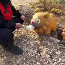 관동 | [일본/도쿄] 포켓몬파크 칸토 관동 예매 후기와 팁