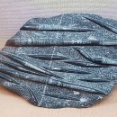 부산해양자연사박물관 이미지