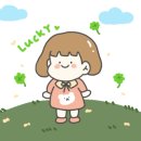 퀼트박스 네이버블로그