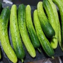 닛시농장 이미지