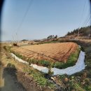 태신부동산 공인중개사사무소 이미지
