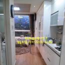 로제리움2차 이미지