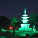 동의보감촌 치유의숲 이미지