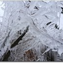 강릉(강릉방향)휴게소 이미지