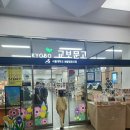 주말 아이들과 서울대학교 산책, 견학 및 학생회관식당에서 식사후기