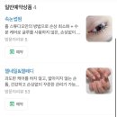 횸스튜디오