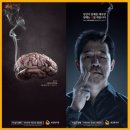 장수담배