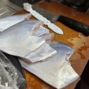 중앙선어시장 | 여수 여행, 거북호와 중앙선어시장, 진미 꽃게탕 블루리본맛집