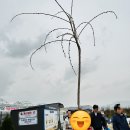 포천시산림조합임산물유통센터 이미지