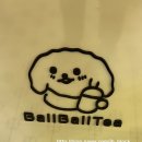 볼볼티 이미지