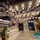 BOB 피시방 이미지