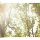 김선희한의원 이미지