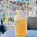 순수세정 | 군대올인원워시 필수 템! 순수 밀착 개운한 올인원 샴푸&amp;바디워시 600ml 사용 후기