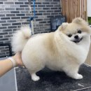 까까댕이 이미지