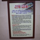 천둥옻오리 이미지