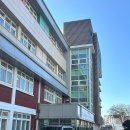 창용 | 수원 창용중학교 연말 학교행사, 손으로 빚는 '과일 화과자' 수업 후기