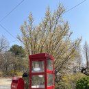 부부농장 이미지