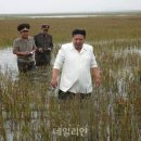 북한 수해 이미지