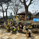 인애유치원 이미지