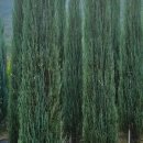 태림농원 이미지