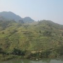 계림마을 이미지