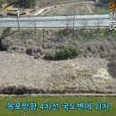 다모아농장 네이버블로그