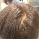 Jar hair(잘 헤어)