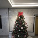더테라스스파 주식회사 | [울진호텔] 덕구온천호텔 테라스 스파룸 예약, 가격, 크리스마스 방문 후기