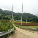 사진:남한강인근 단양가곡면 관리지역"답"189평소액(도로접) 이미지