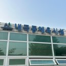 내곡 | 서울 강남 내곡테니스장 인조잔디코트 비추천/예약자확인/레슨비용/샤워시설 후기