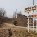 복숭아 펜션 이미지