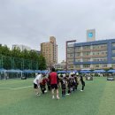 마포키즈아레나FC 이미지