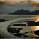 순천만 갈대밭 이미지