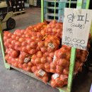 엄궁농산물시장 | 엄궁농산물시장: 대저 짭짤이 토마토 가격 내돈내산 후기