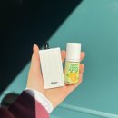 체리레몬비 이미지