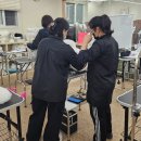 [일원1] 반려견 셀프 미용 | 강아지 클리퍼 후기 셀프애견미용을 알려드릴게요!