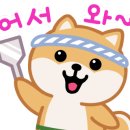 용인대 매화태권도 이미지