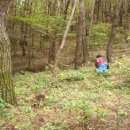 섬마을농원 이미지