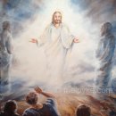 Bear the Glorious Image of Christ! (Matthew 17:1–13) 이미지